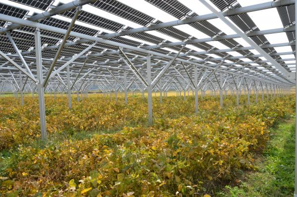 匝瑳市が進める脱炭素の具体的な取り組み