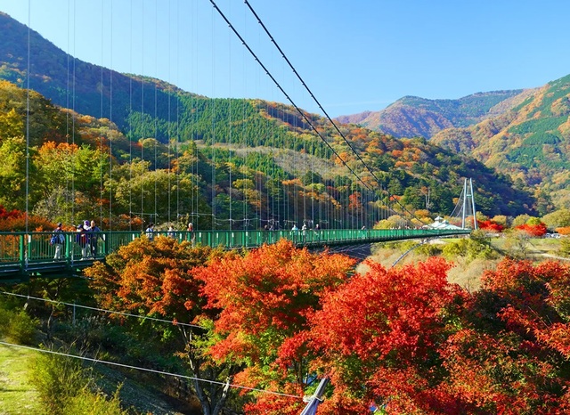 那須塩原市の脱炭素まちづくりまとめ